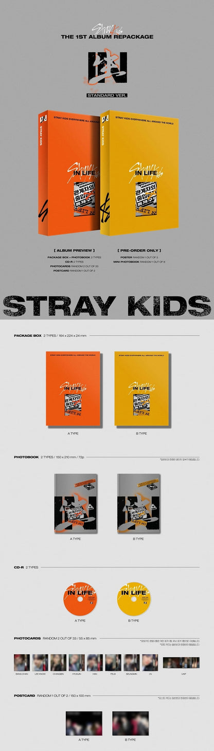 Stray Kids – IN LIFE (Standard Version) (Random)